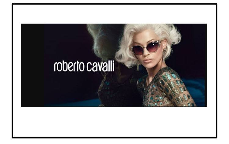 Roberto Cavalli Womens RC332SW Metal Sunglasses