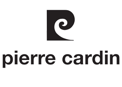 Lunettes de vue Pierre Cardin